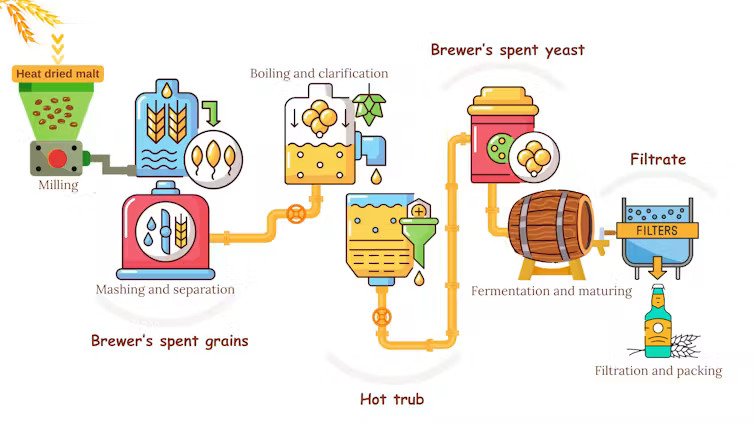 Can Brewing Waste Become Renewable Energy?
